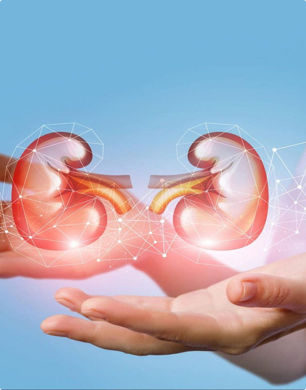 Family Practice Billing Experts